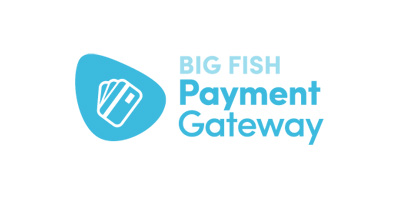Big Fish Payment