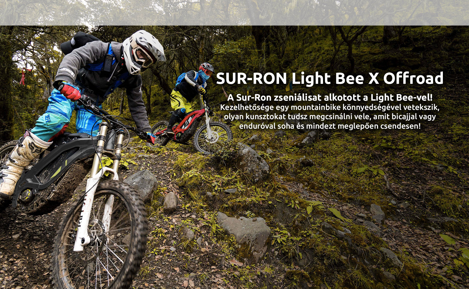 Sur-Ron Light Bee X offroad